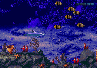 History-of-Ecco-the-Dolphin-3.gif